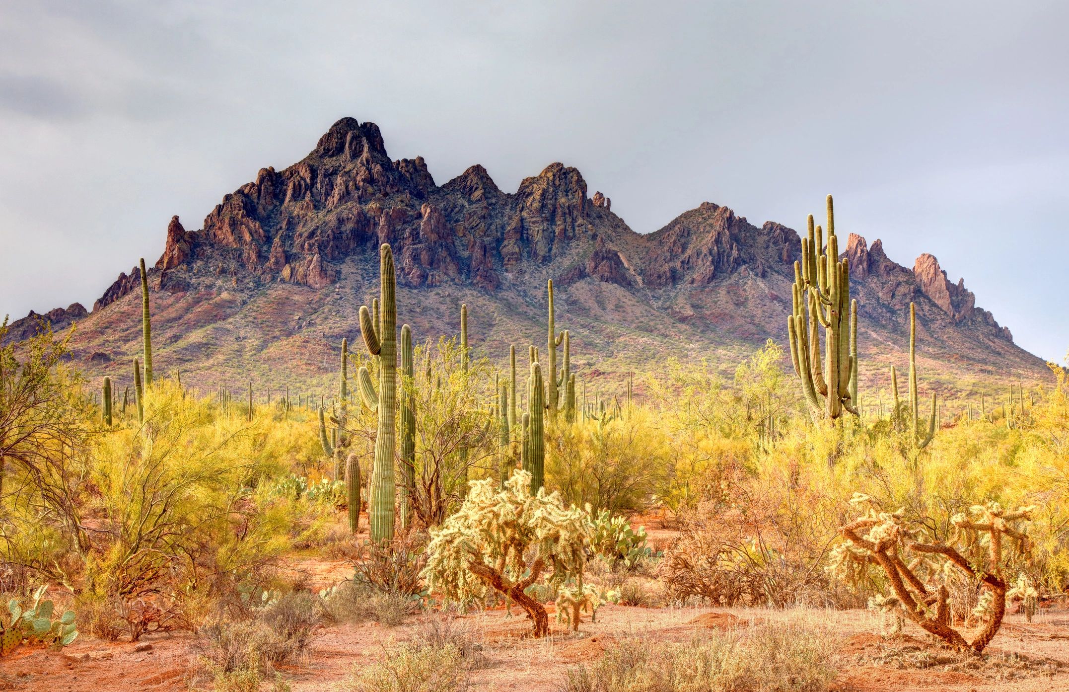 legal advice Arizona